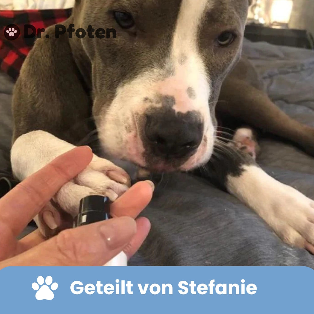 Affûteur de griffes™ Pro Set - Soin des griffes sans stress pour les chiens