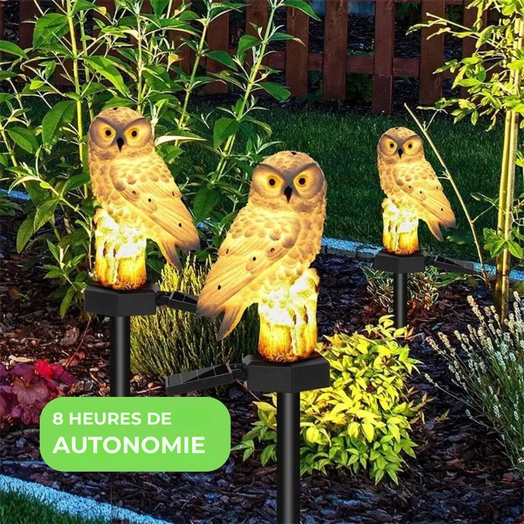 Buho Solar Led MagicNight
