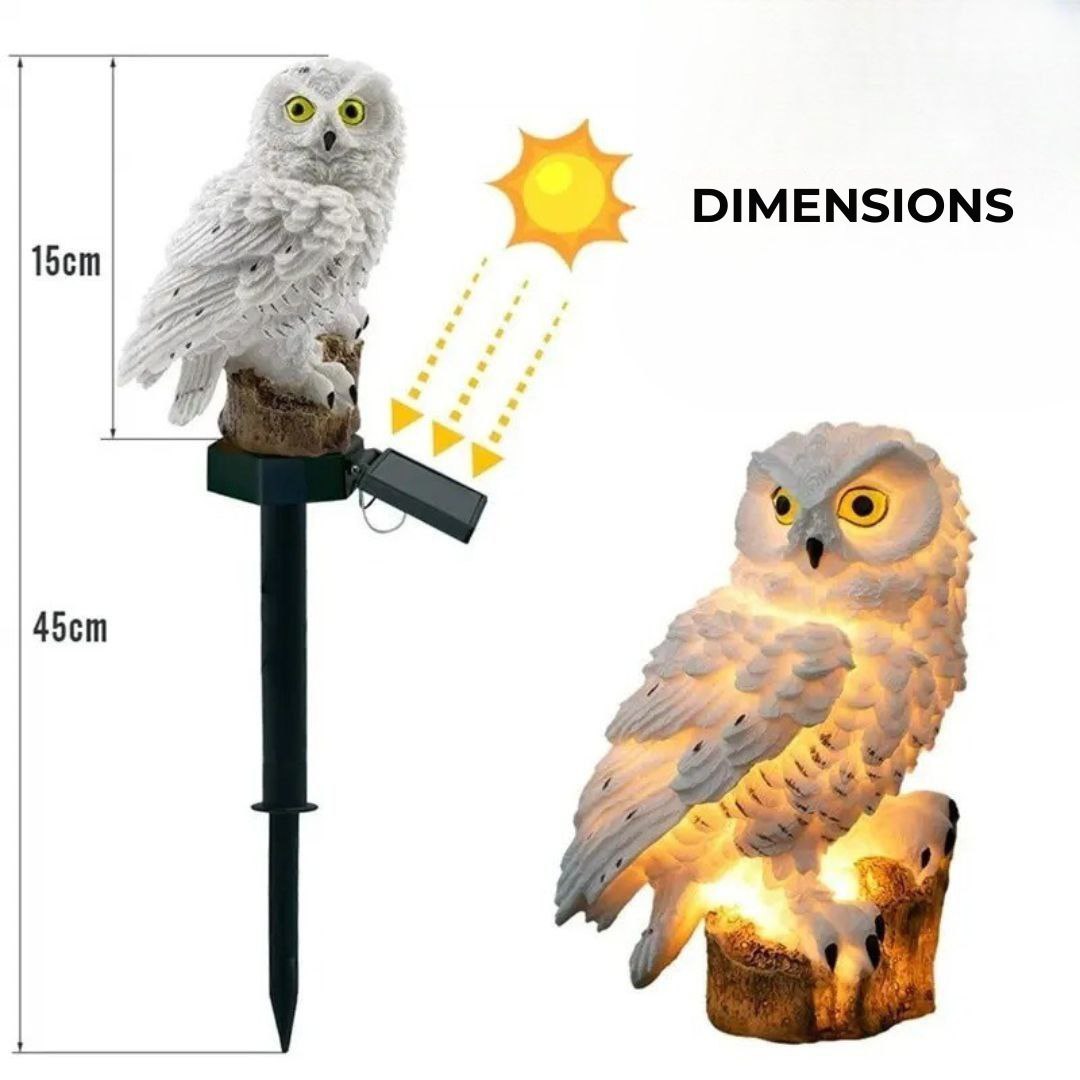Buho Solar Led MagicNight