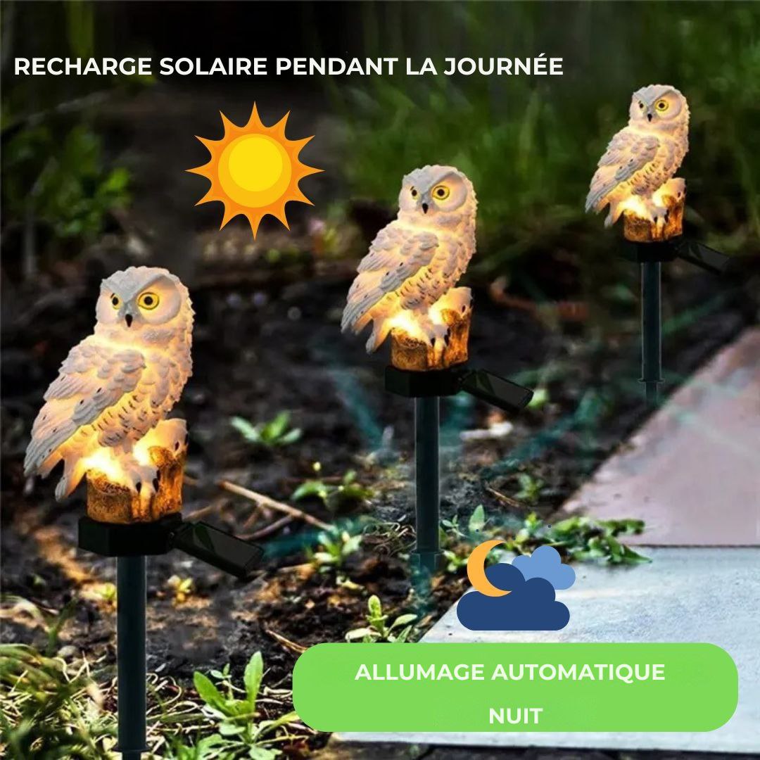 Buho Solar Led MagicNight