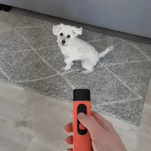 LydLyn | Arrêtez les aboiements de votre chien en un seul clic